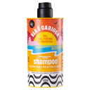 Shampoing " Ela é Carioca" Lola 500ml